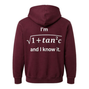 I’m 1+Tan2C And I Know It Hoodie