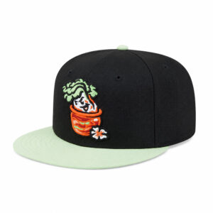 Montgomery Biscuits Kimchi Night Hat (2)
