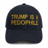 Cubs Two Toned Field Hat