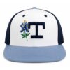 Allen Iverson Canadians Baseball Fitted Hat