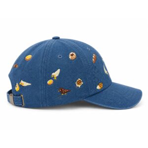 I'm No Better Than A Bird Hat (2)