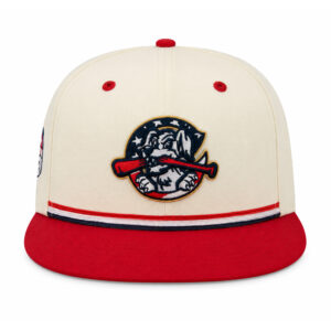 USA 250th Anniversary RiverDogs Charleston Independence Day 2026 Hat (3)