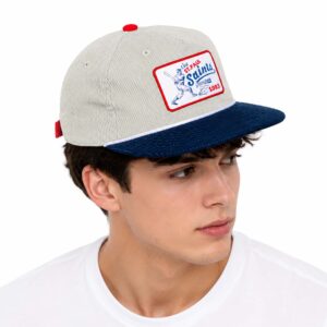 The St Paul Saints 1993 Hat (2)