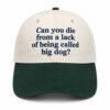 John Geiger’s Misplaced Series Pirates 2026 Hat