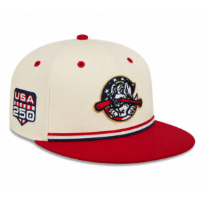 USA 250th Anniversary RiverDogs Charleston Independence Day 2026 Hat (2)