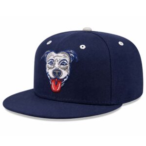 Lehigh Valley Pitties Theme Night 2026 Hat (3)