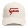 Jason Sudeikis Everything Is Energy Hat