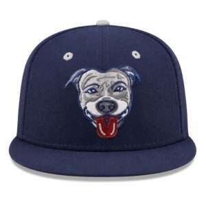 Lehigh Valley Pitties Theme Night 2026 Hat