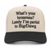 Somerset Patriots America’s 250th Anniversary Hat