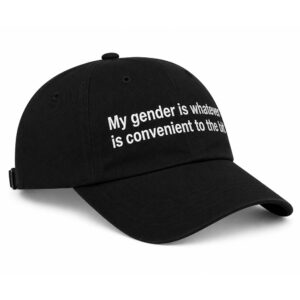 My Gender Is Whatever Is Convenient To The Bit Hat (3)