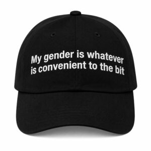 My Gender Is Whatever Is Convenient To The Bit Hat