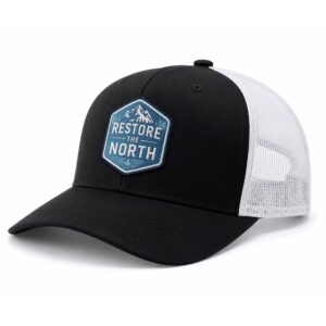 Jamil Jivani Restore The North Hat (3)