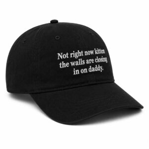 Not Right Now Kitten The Walls Are Closing In On Daddy Hat (3)