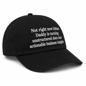 Not Right Now Kitten Daddy Is Turning Unstructured Data Into Actionable Business Insights Hat (2)