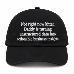 Not Right Now Kitten Daddy Is Turning Unstructured Data Into Actionable Business Insights Hat
