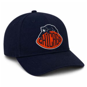 Chicago Bears 2026 Hat (2)