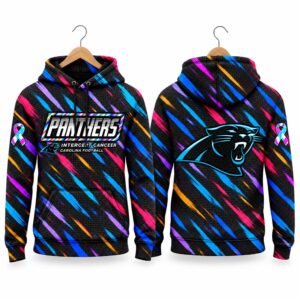 Panthers Football 2026 Crucial Catch Waffle Hoodie (2)