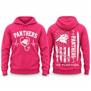 Panthers Nurse Appreciation Day 2026 Hoodie 2