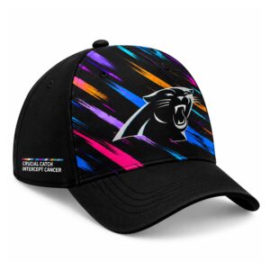 Panthers Football Crucial Catch 2026 Hoodie (1)