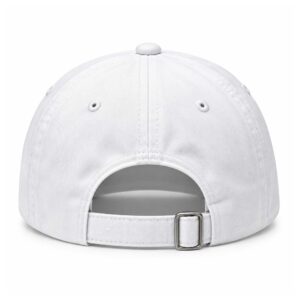 Vibes Capital Management Hat (1)